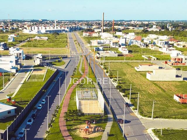 Venda em Fazenda Santo Antônio - Campos dos Goytacazes