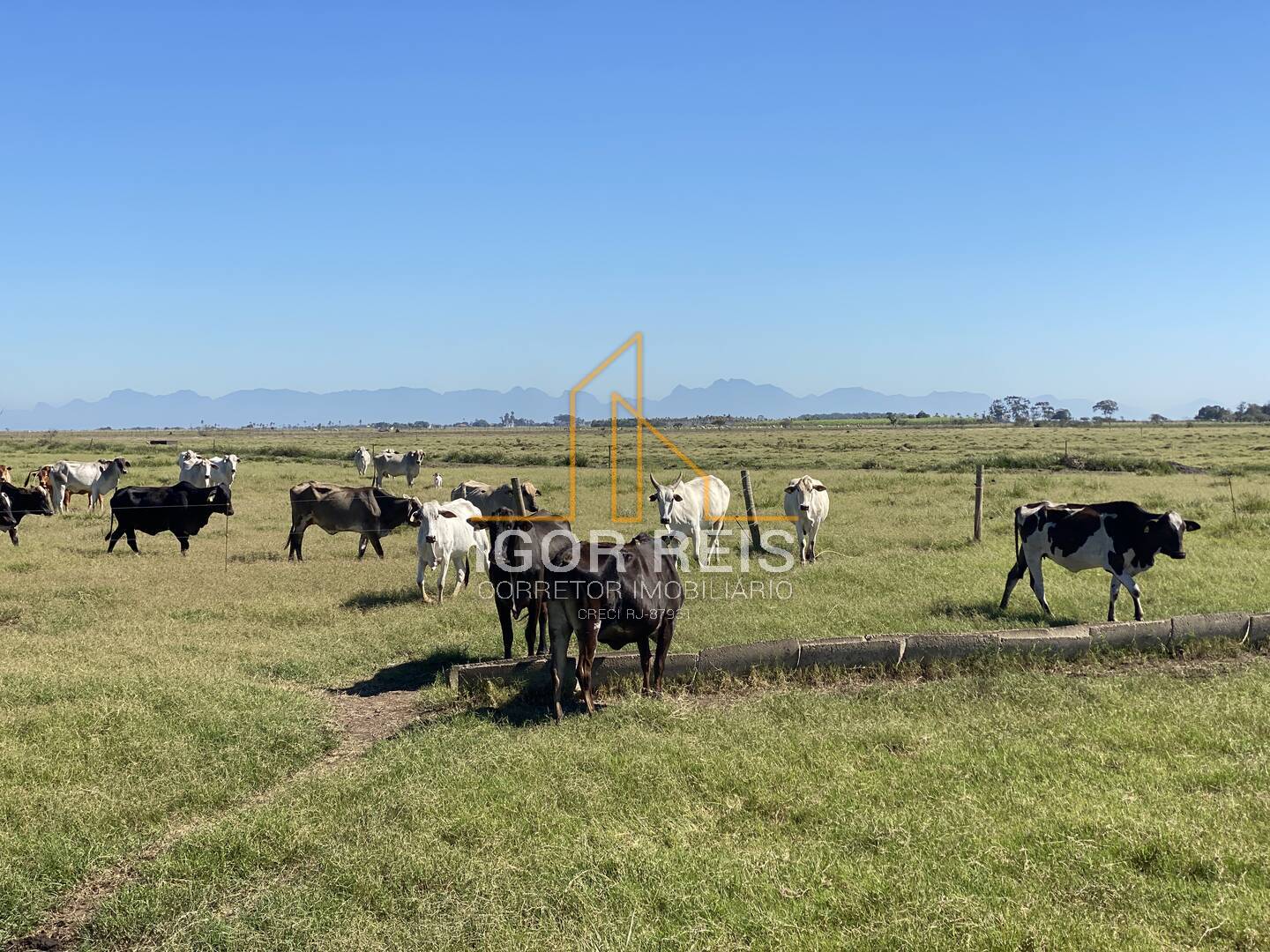 ✔ Oportunidade Única! Fazenda Produtiva em Quissamã com Topografia Plana