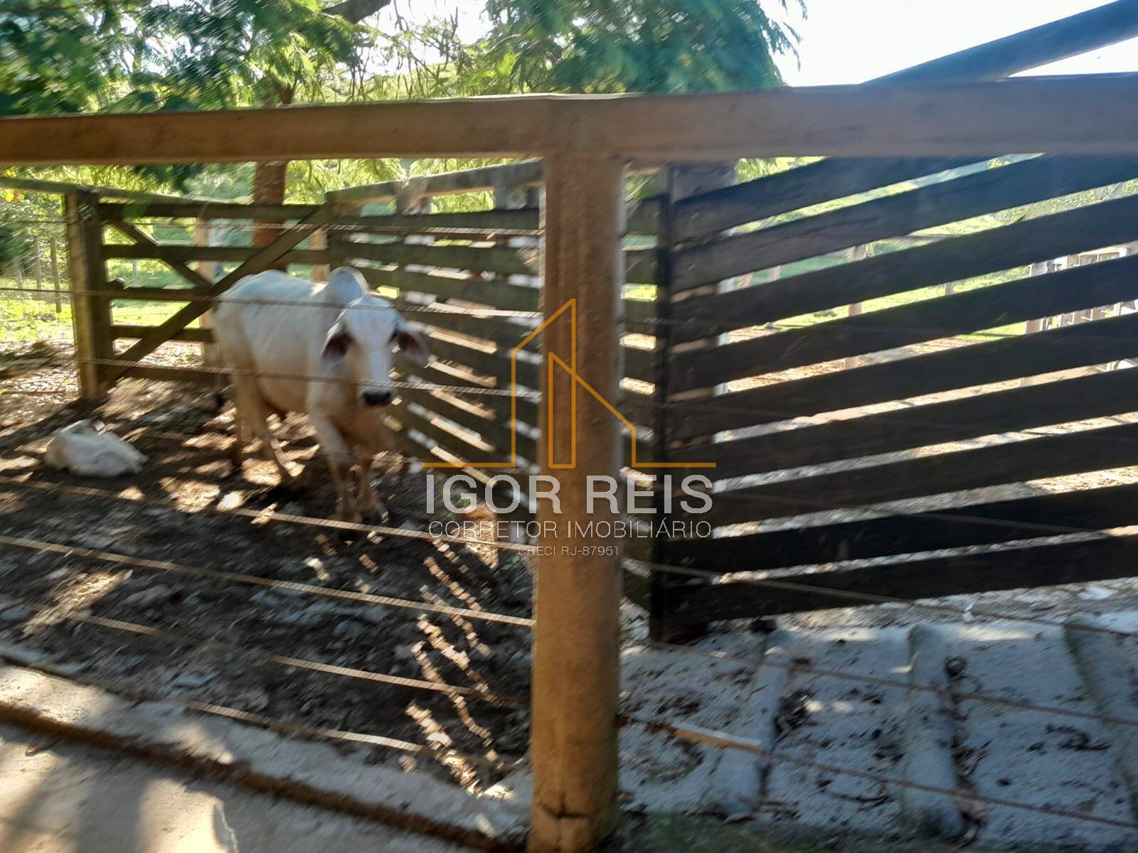 Terreno, 629 m² - Foto 42